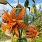 Tiger Lily Double Bloom , 5 Bulbets, Bulbils