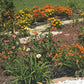Cut Flower Garden Seeds – Grow Your Own Bouquet Garden