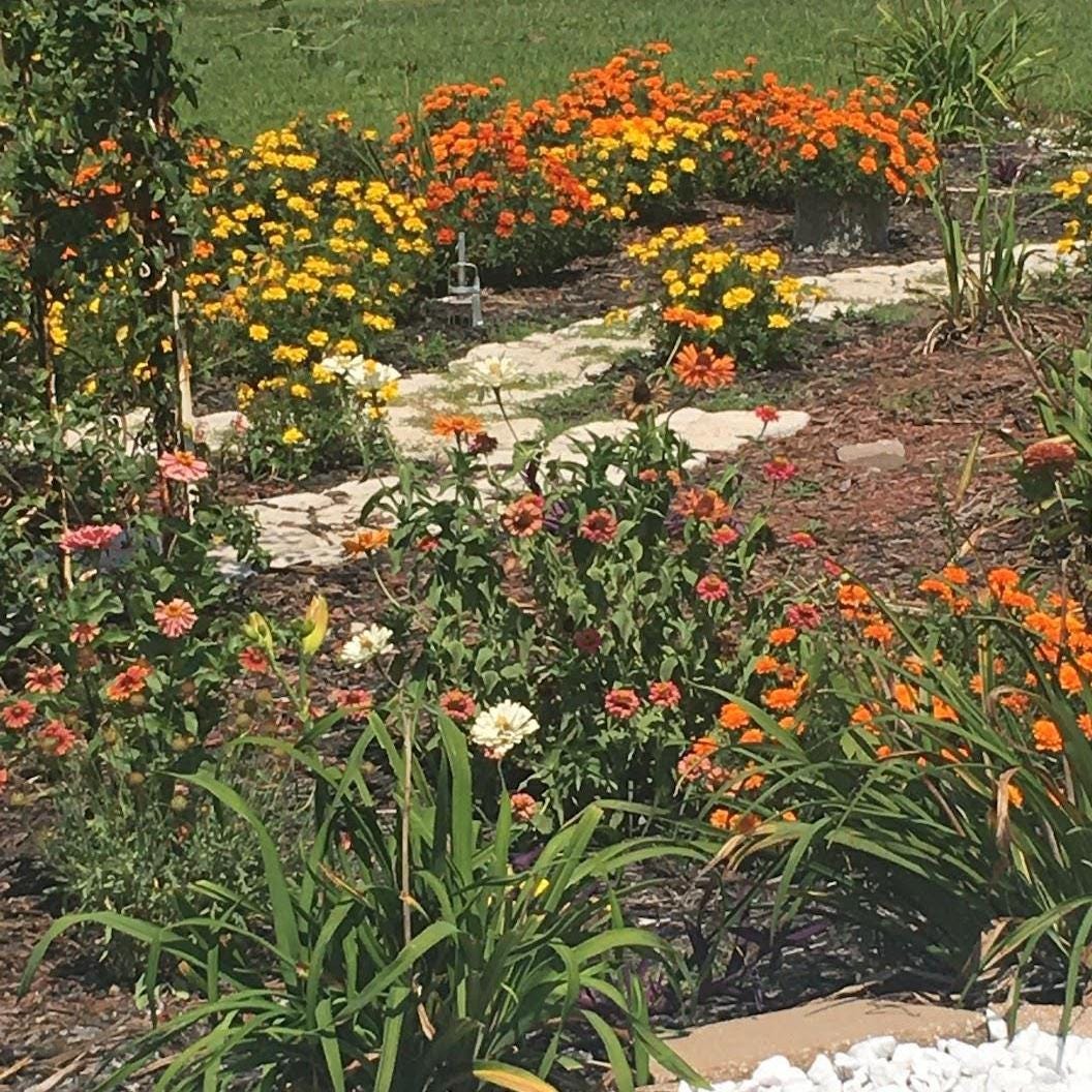 Cut Flower Garden Seeds – Grow Your Own Bouquet Garden