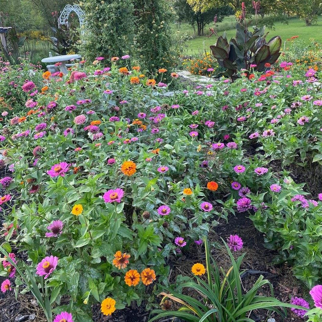 Cut Flower Garden Seeds – Grow Your Own Bouquet Garden