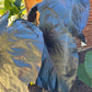 Black Elephant Ear – 1 Live Bulb | Giant Dark-Foliage Tropical Plant